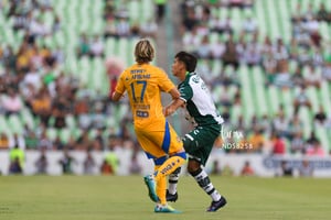 Santos Laguna vs Tigres UANL J4