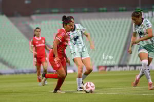 Santos Laguna vs Toluca FC femenil