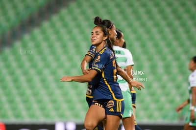 Santos vs Tigres femenil