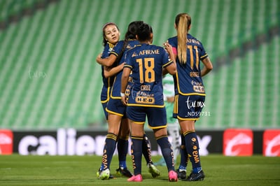 Santos vs Tigres femenil