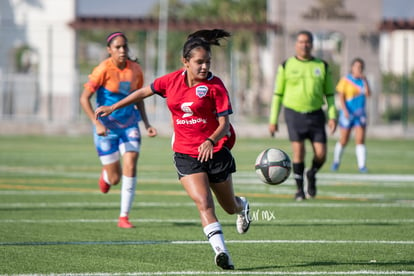 Aztecas vs Panteras | Aztecas F.C. vs Panteras Saltillo