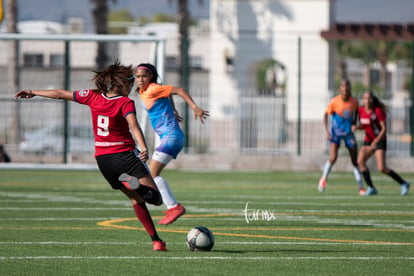 Aztecas vs Panteras | Aztecas F.C. vs Panteras Saltillo