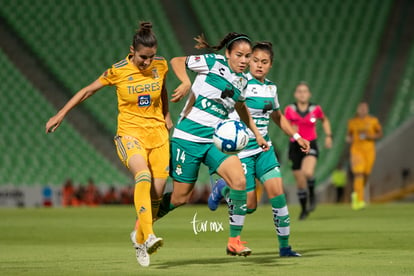 Katia Estrada, María Elizondo | Santos vs Tigres jornada 3 apertura 2019 Liga MX femenil