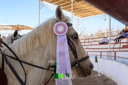 ganadores | Segundo concurso de salto ecuestre La Barranca