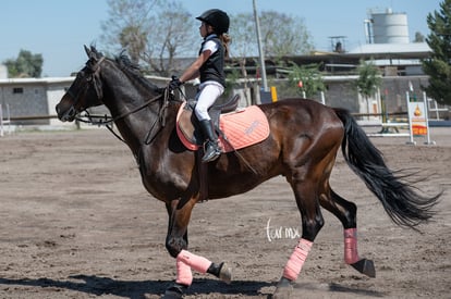  | Tercer concurso de Salto 2019 Hípico La Cabaña