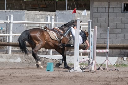 caída | Tercer concurso de Salto 2019 Hípico La Cabaña