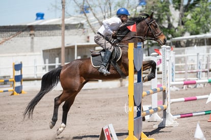  | Tercer concurso de Salto 2019 Hípico La Cabaña