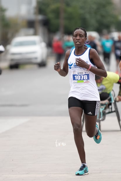  | 5K y 10K de la Constitución