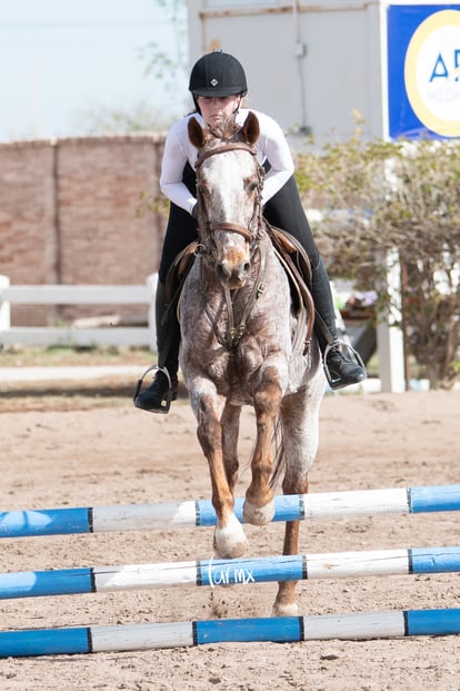  | Concurso de salto Las Brisas