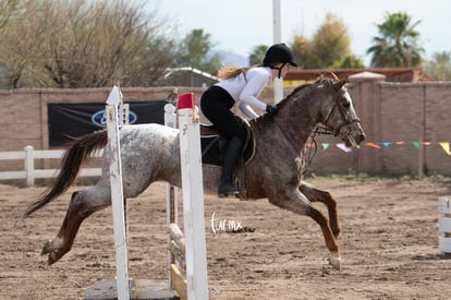 Ámbar Lozano | Concurso de salto Las Brisas