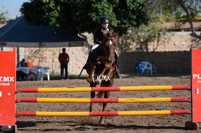 Las Brisas centro ecuestre | Salto de caballo Las Brisas