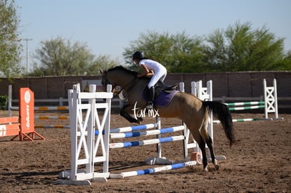 Las Brisas centro ecuestre | Salto de caballo Las Brisas