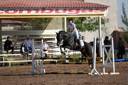 Las Brisas centro ecuestre | Salto de caballo Las Brisas