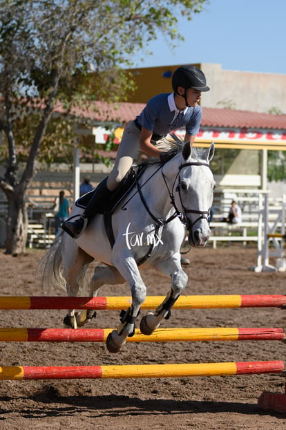 Las Brisas centro ecuestre | Salto de caballo Las Brisas