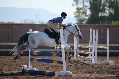 Las Brisas centro ecuestre | Salto de caballo Las Brisas