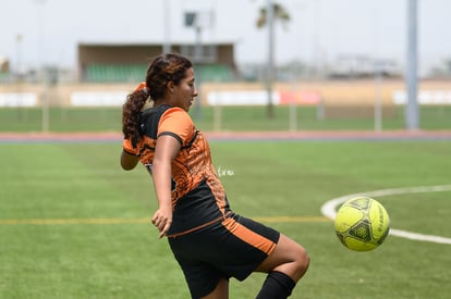 Final, Aztecas FC vs CECAF FC | Aztecas FC vs CECAF FC final