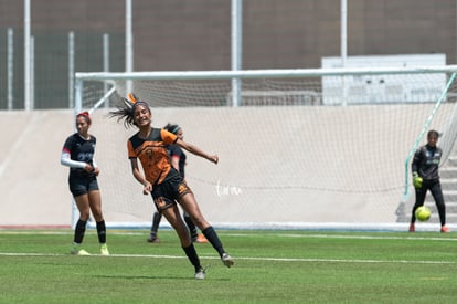 Aztecas FC vs Panteras FC | Aztecas FC vs Panteras FC semifinales