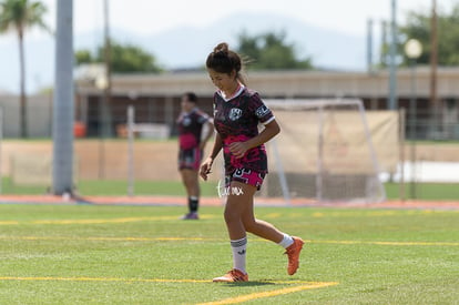 Cecaf FC vs Santos FIS 20 | Cecaf FC vs Santos FIS 20 semifinales