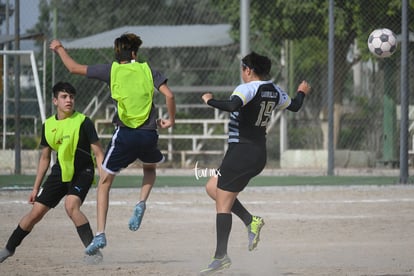 CEFOJUR | CEFOJUR vs CEFOJUR