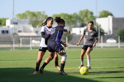 CEFORUVA vs Alces Laguna | CEFORUVA vs Alces Laguna