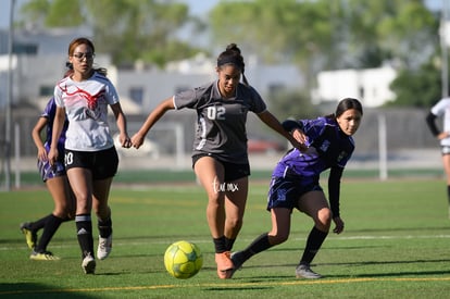 CEFORUVA vs Alces Laguna | CEFORUVA vs Alces Laguna