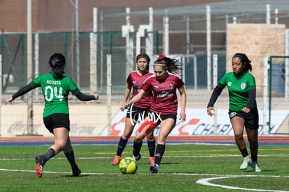 Panteras de Saltillo | Panteras FC CEFORUVA