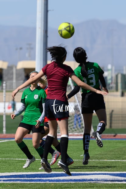 Panteras de Saltillo | Panteras FC CEFORUVA