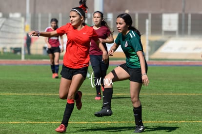 Panteras de Saltillo | Panteras FC CEFORUVA