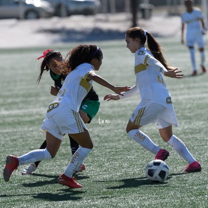  | Santos Tigres femenil sub17