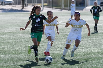  | Santos Tigres femenil sub17