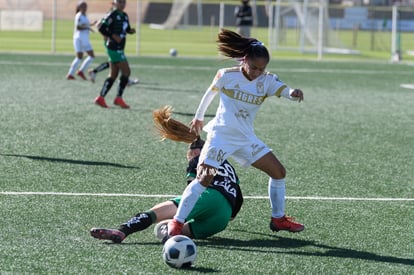  | Santos Tigres femenil sub17