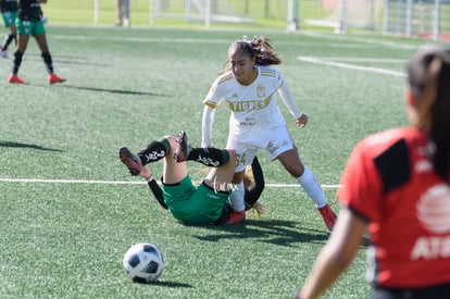  | Santos Tigres femenil sub17