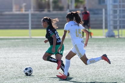  | Santos Tigres femenil sub17