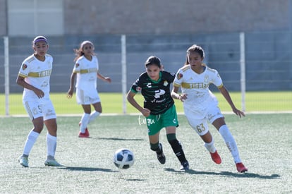  | Santos Tigres femenil sub17