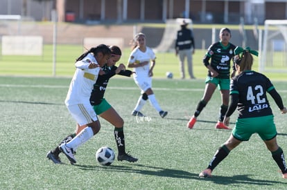  | Santos Tigres femenil sub17