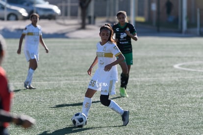  | Santos Tigres femenil sub17