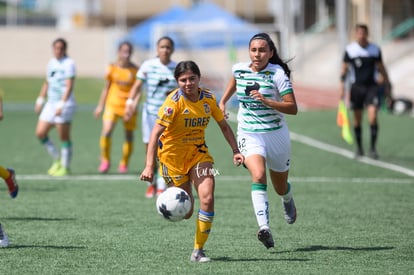 Frida Cussin | Santos vs Tigres J16 C2022 Liga MX