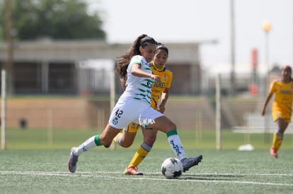 Frida Cussin | Santos vs Tigres J16 C2022 Liga MX