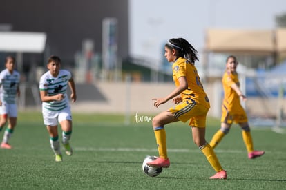 Ana Narro | Santos vs Tigres J16 C2022 Liga MX