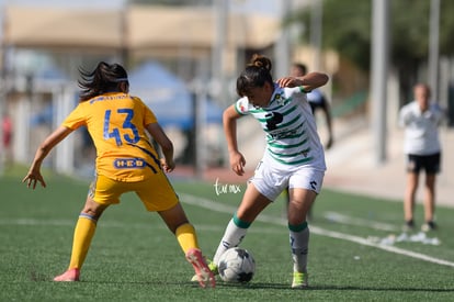 Britany Hernández, Andrea Cázares | Santos vs Tigres J16 C2022 Liga MX