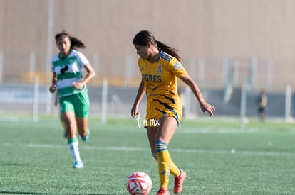  | Santos Laguna vs Tigres femenil sub 18 J8