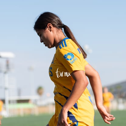  | Santos Laguna vs Tigres femenil sub 18 J8