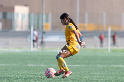  | Santos Laguna vs Tigres femenil sub 18 J8