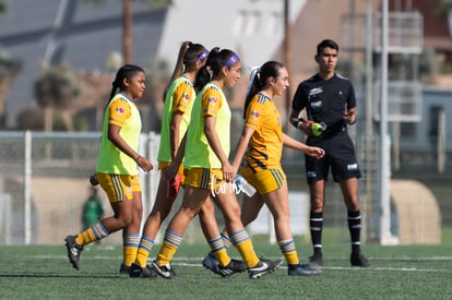  | Santos Laguna vs Tigres femenil sub 18 J8