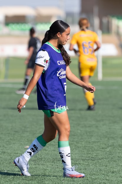  | Santos Laguna vs Tigres femenil sub 18 J8