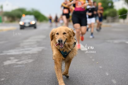  | 5K no me rindo, Colegio Americano de Torreón