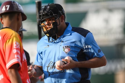 umpire | Algodoneros Unión Laguna vs Piratas de Campeche