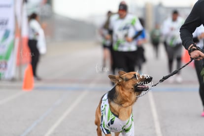  | Carrera 5K Halcones UAL