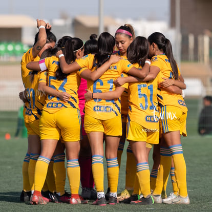 Tigres UANL femenil sub 18 | Santos vs Tigres J13 C2023 Liga MX