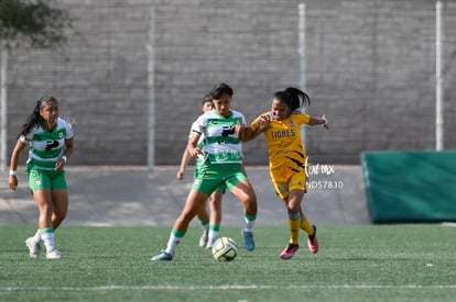 Deiry Ramírez | Santos vs Tigres J13 C2023 Liga MX